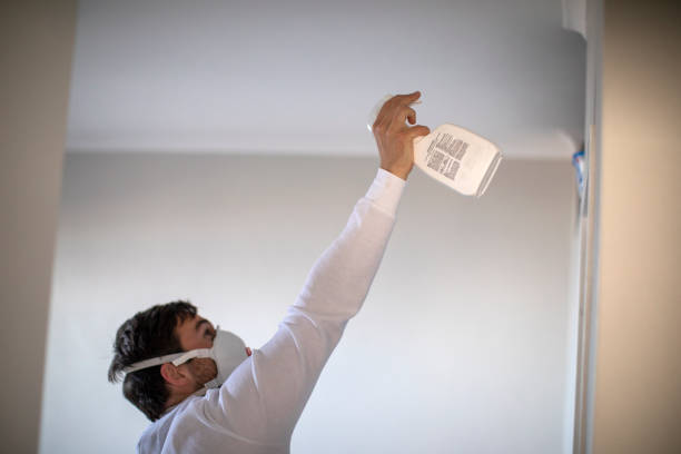 Best Affordable Mold Removal  in Culver City, CA