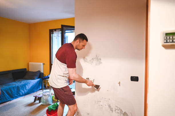 Best Local Mold Removal Service  in Culver City, CA