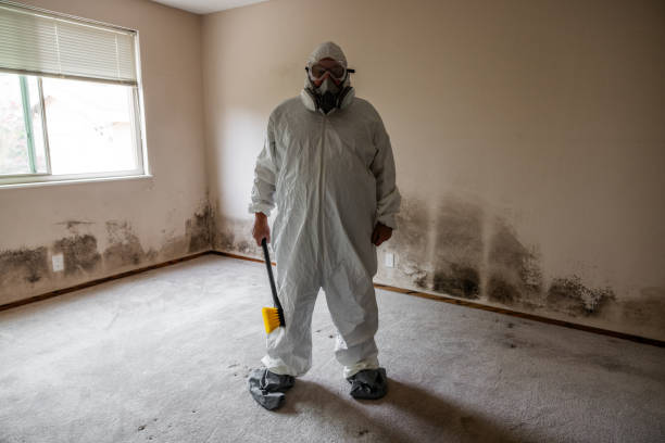 Best Mold Testing  in Culver City, CA